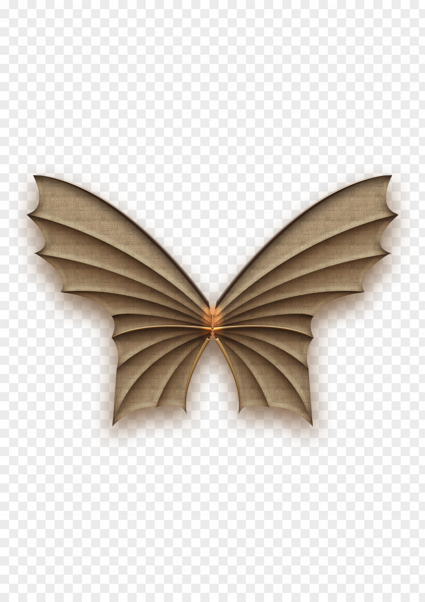 Butterfly Wings Wing Computer File PNG