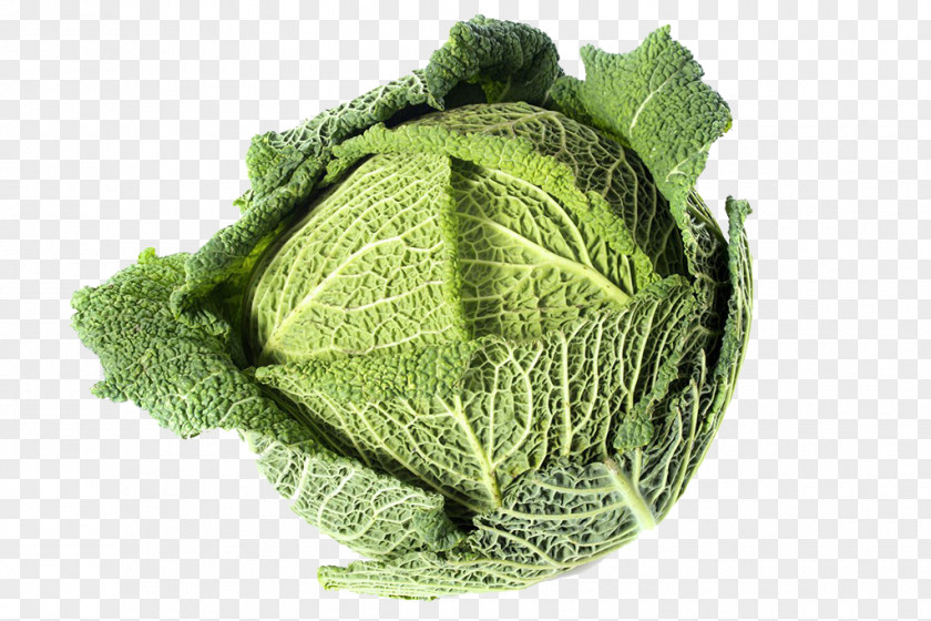 Cabbage Pictures Savoy Kale Collard Greens PNG
