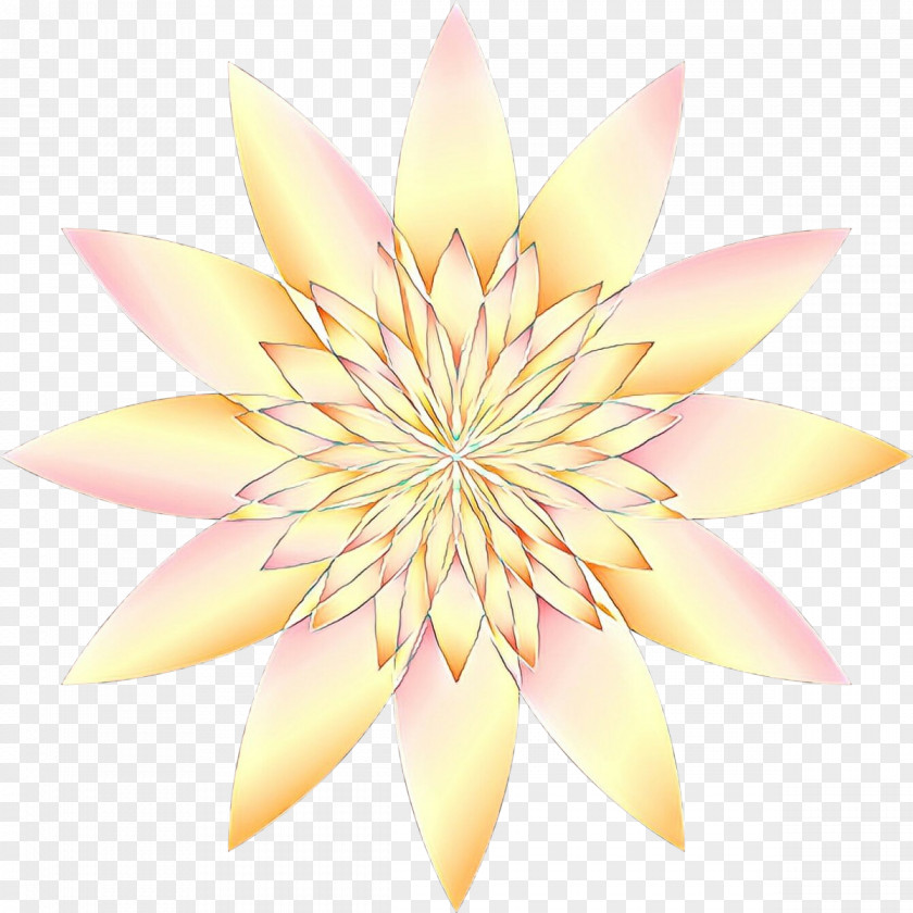 Lotus PNG