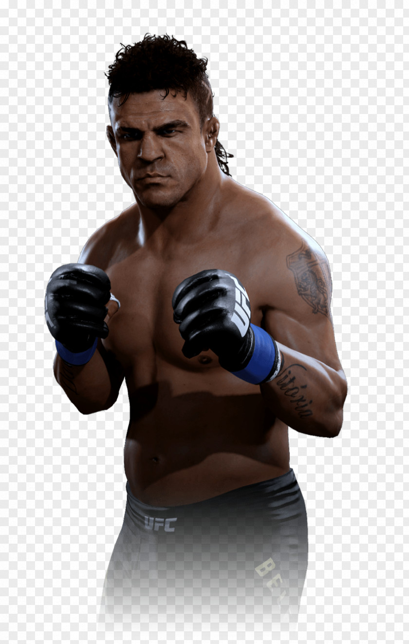 Mixed Martial Arts Royce Gracie UFC 1: The Beginning Welterweight Middleweight PNG