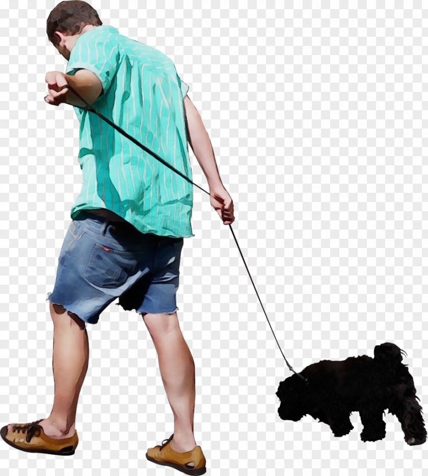 Portuguese Water Dog Companion Leash Walking Obedience Training PNG