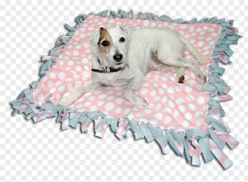 Puppy Dog Breed Mill Shih Tzu Blanket PNG