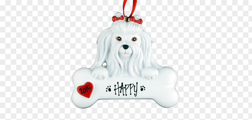 Puppy Maltese Dog Bichon Frise Breed Companion PNG