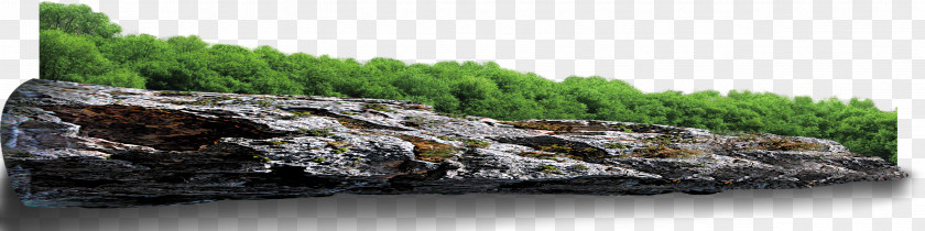 Rock Vegetation Clip Art PNG