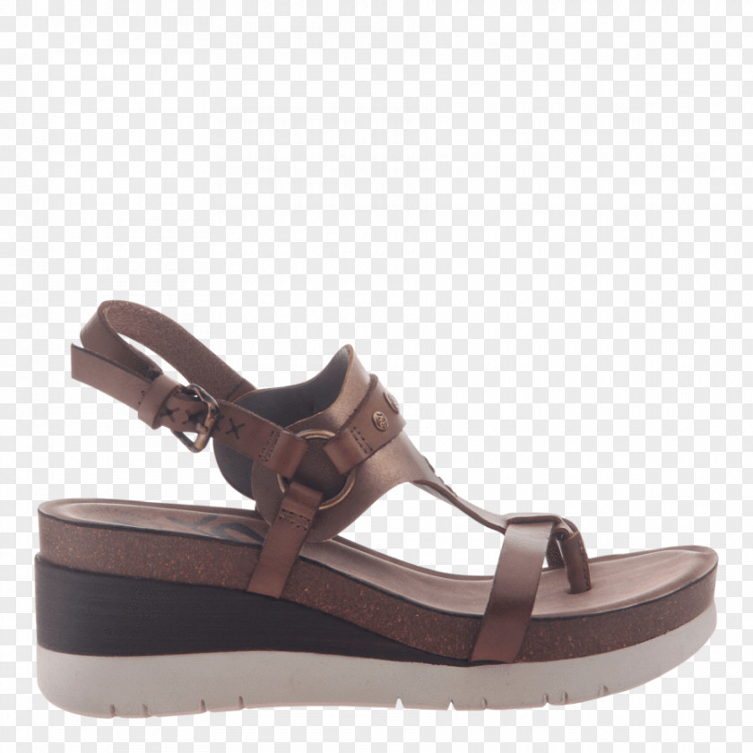 Sandal Platform Shoe Wedge Woman PNG
