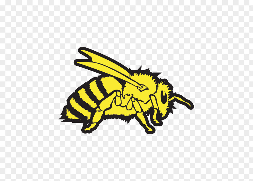 Wasp Vespa Bee Motorcycle Sticker Hornet PNG