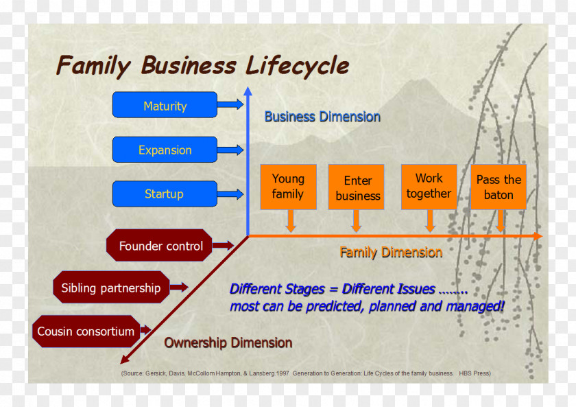 Business Cycle Succession Planning Strategic PNG