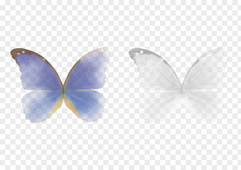 Butterfly Lens Flare Clip Art Adobe Photoshop PNG