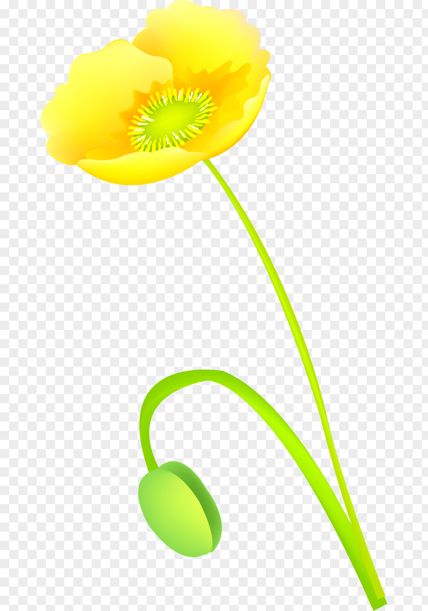 Design Flowering Plant Stem PNG