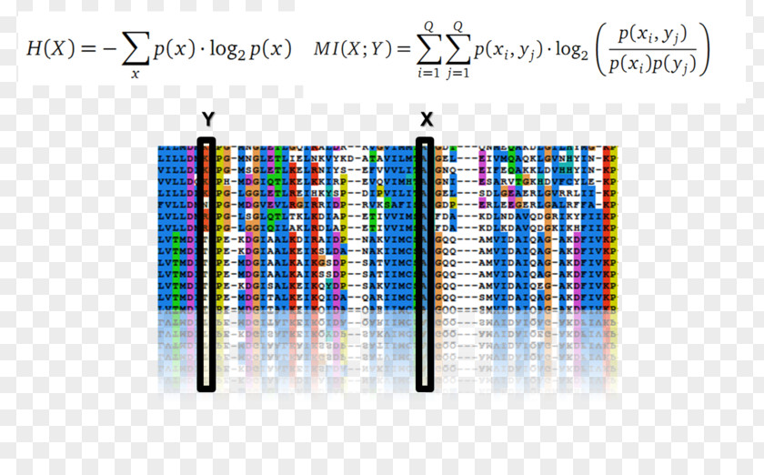 Design Graphic Brand Pattern PNG