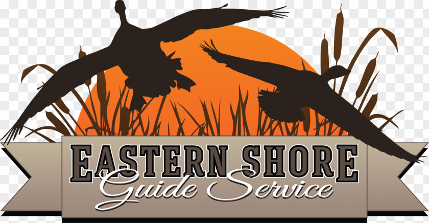 Duck Waterfowl Hunting Goose Logo PNG