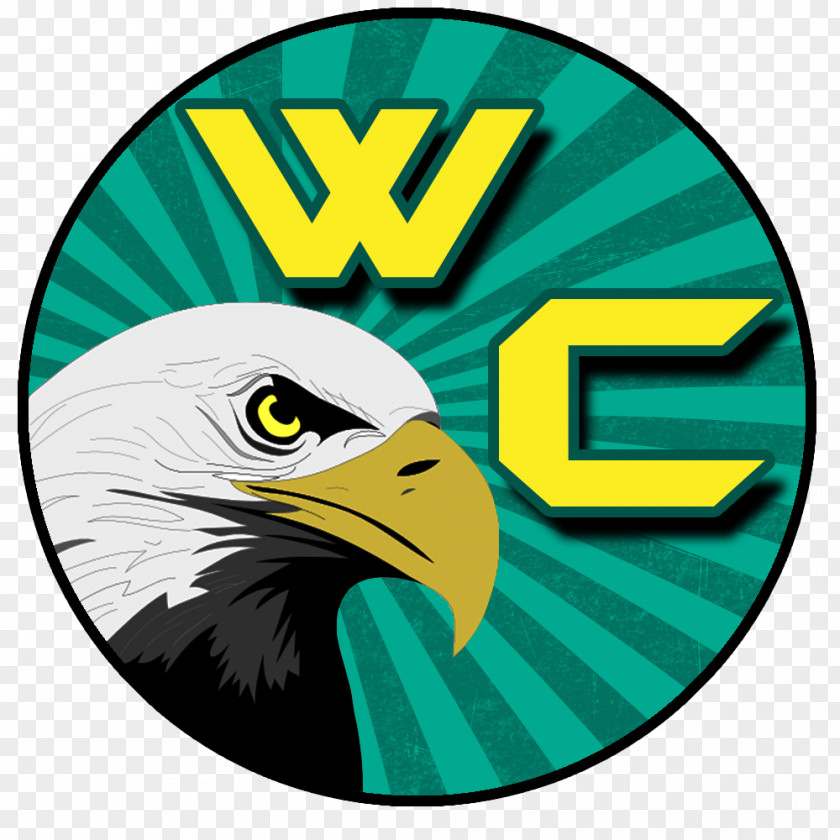Eagle Bald Beak Logo Clip Art PNG