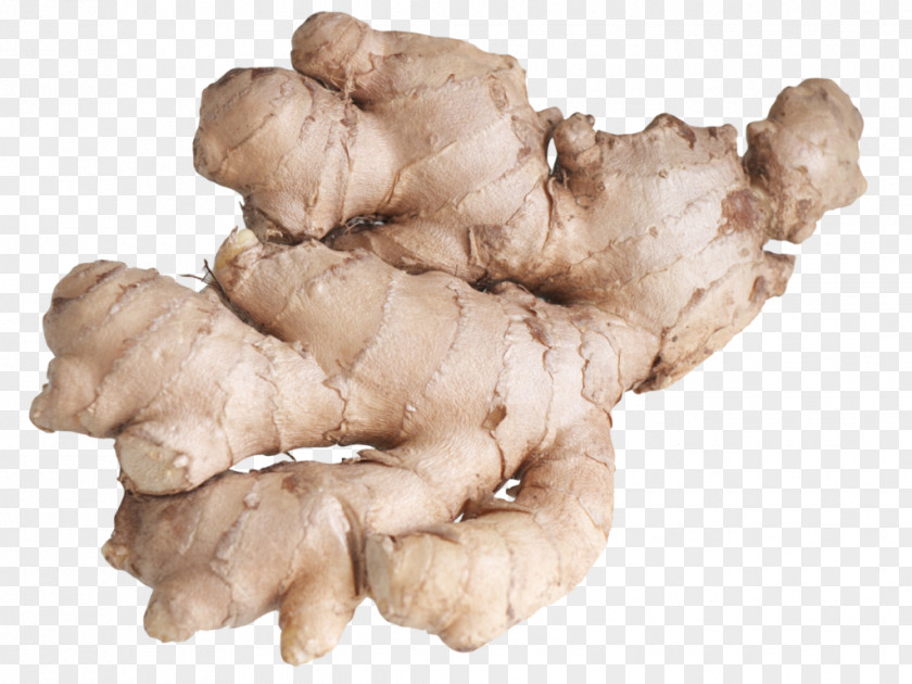 Ginger Tea Root Vegetables Spice PNG