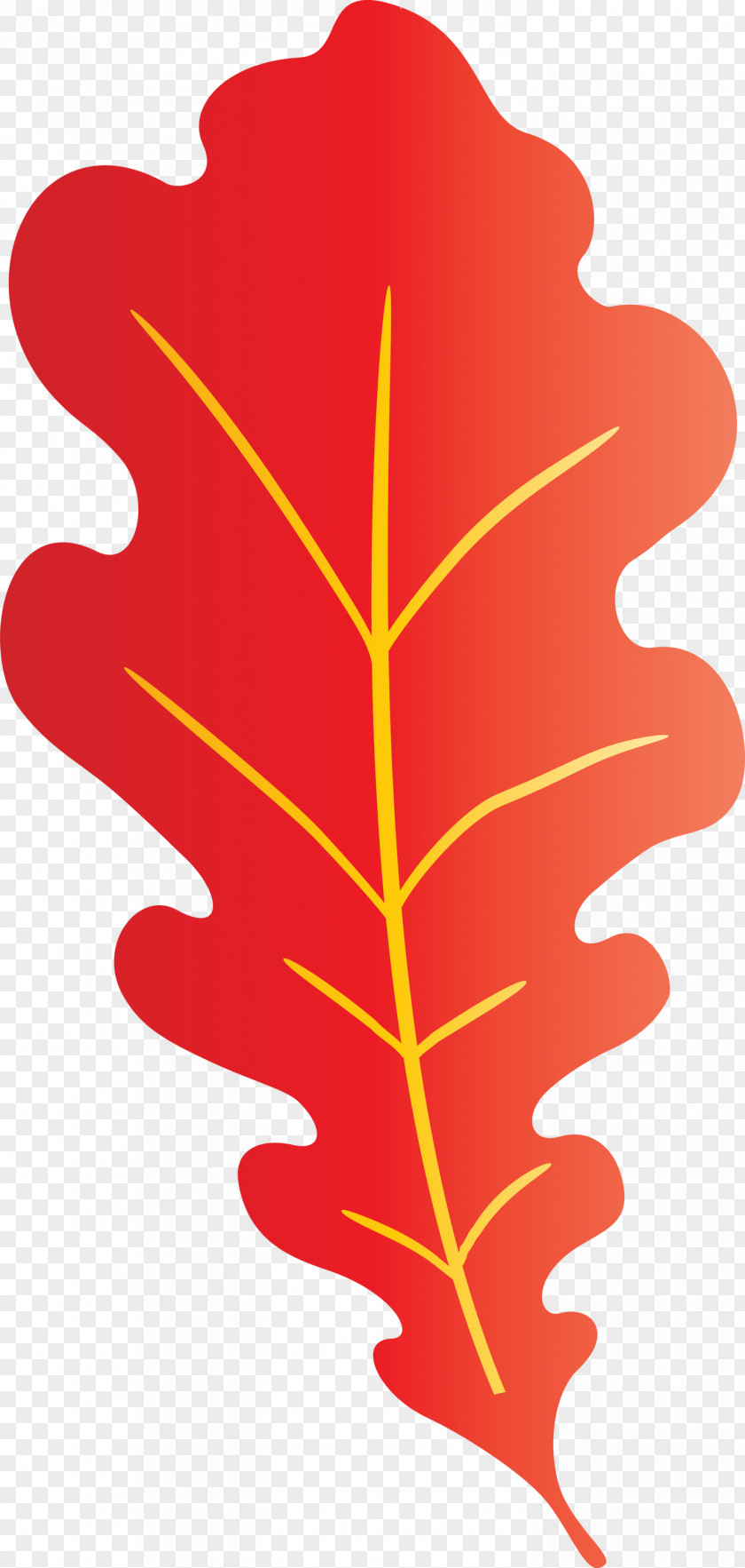 Oak Leaf PNG