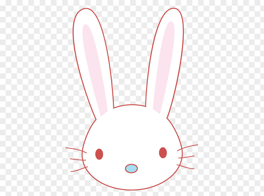 Rabbit Domestic Hare Easter Bunny Whiskers PNG