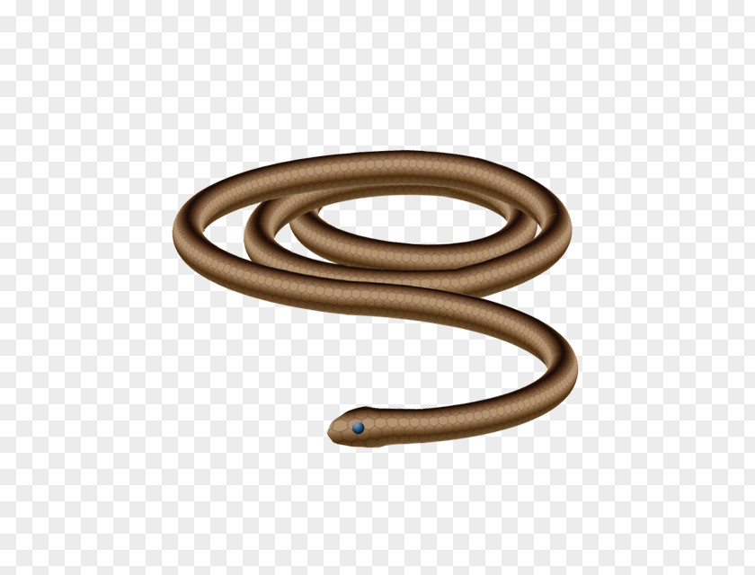 Serpiente Metal Material PNG