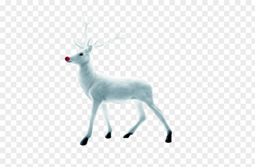 White Reindeer Christmas PNG