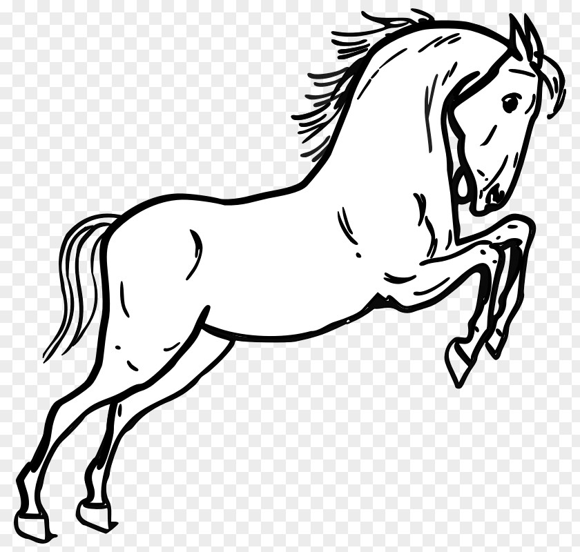 Animal Outline Tennessee Walking Horse Morgan Clip Art PNG