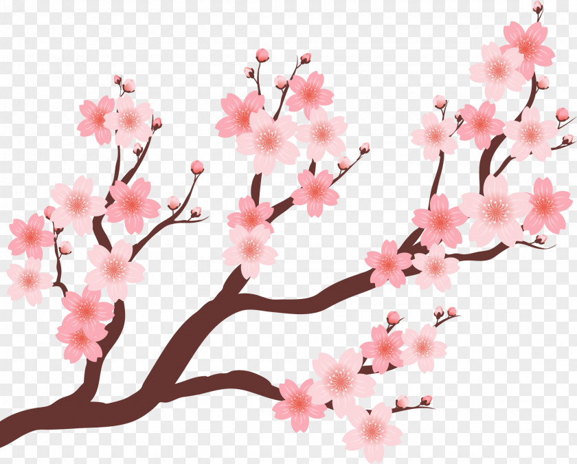 Beautiful Cherry Tree Blossom Plum PNG