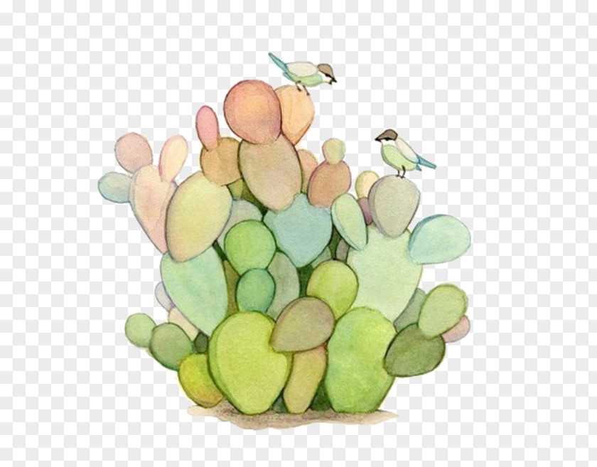 Bird On Cactus Cactaceae Watercolor Painting Succulent Plant Prickly Pear PNG