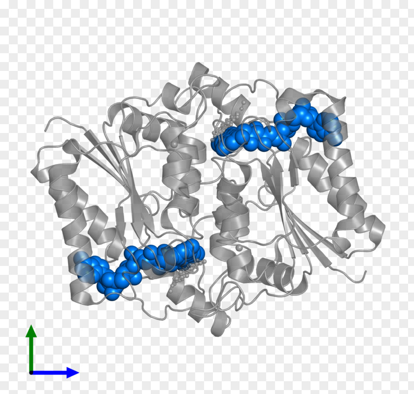 Flavin Adenine Dinucleotide Cobalt Blue Body Jewellery Font PNG