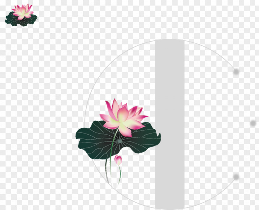 Lotus Title PNG