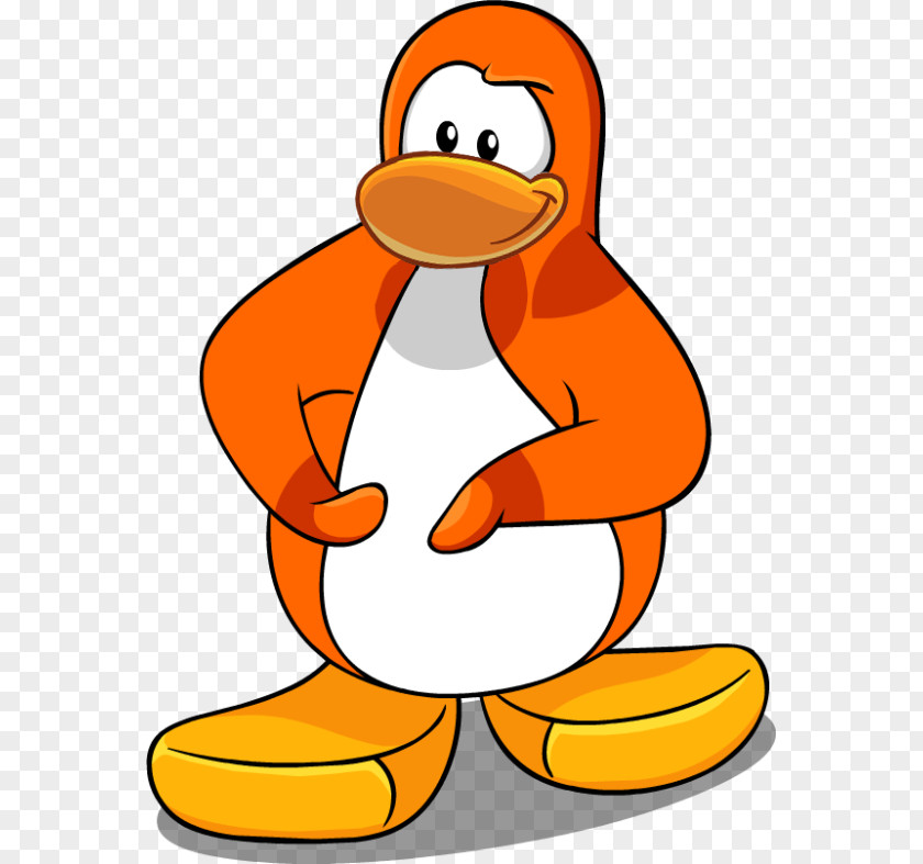 Penguin Club Water Bird Gentoo PNG