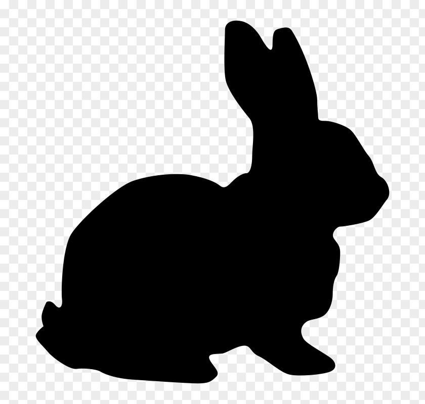 Rabbit White Hare Clip Art PNG