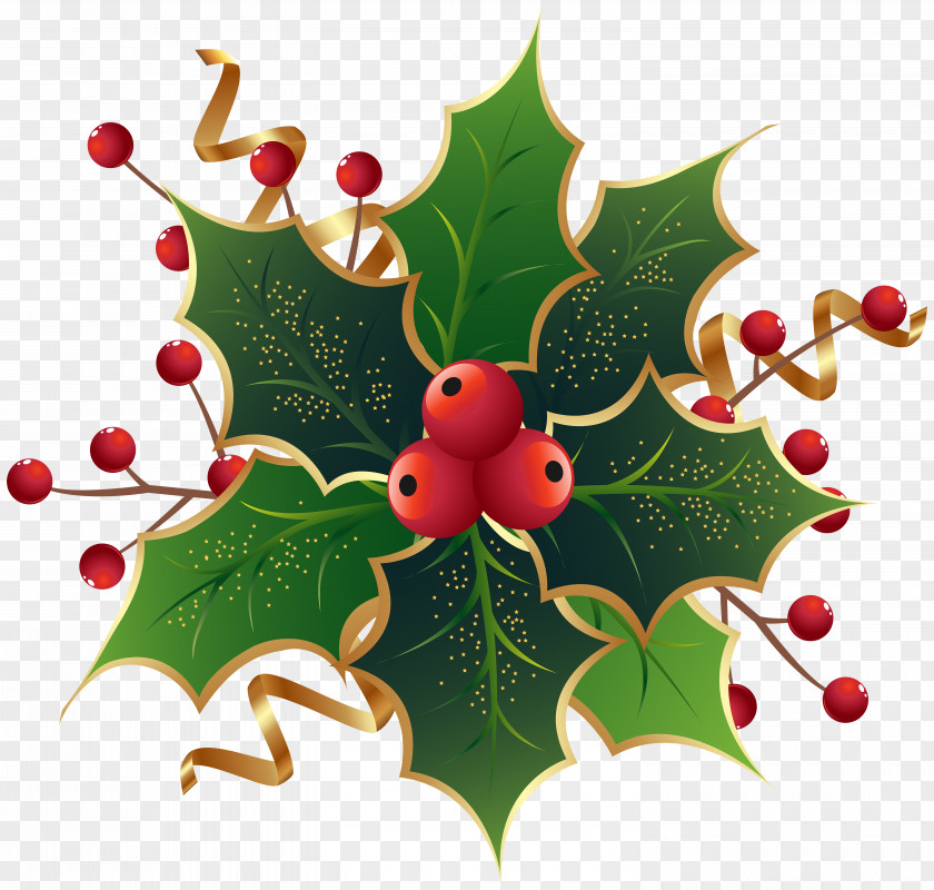 Christmas Holly Mistletoe Clip Art Image Eve At Friday Harbor Common Mark Nagle The Ivy Green PNG