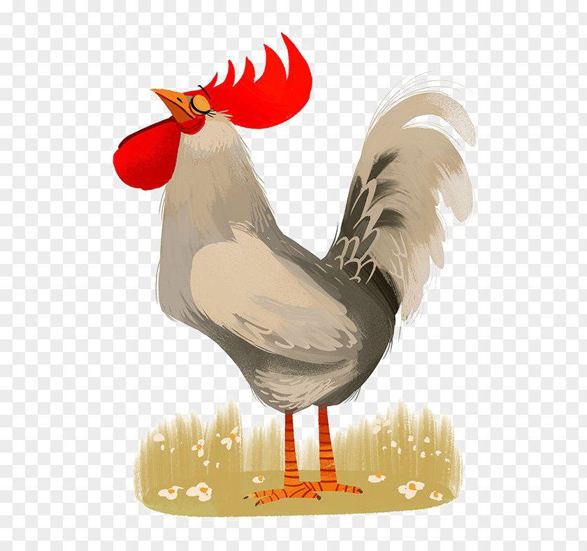 Cock Chicken Rooster Illustrator Poster Illustration PNG