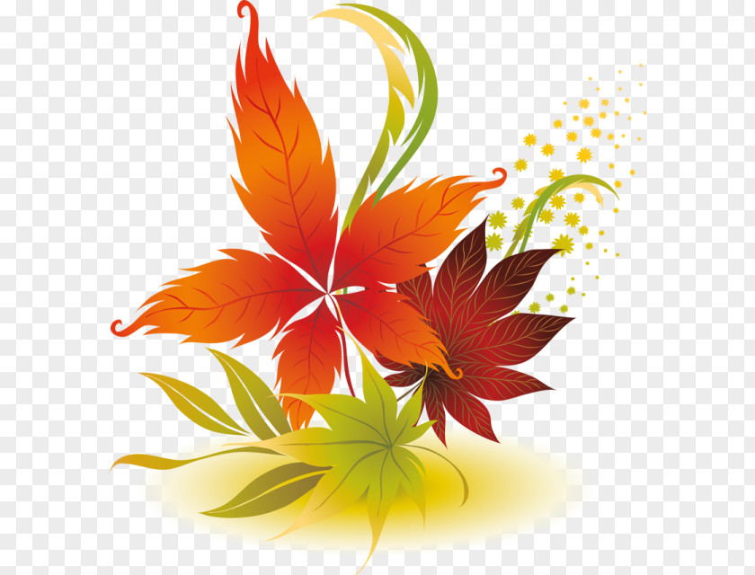 Design Autumn Leaves Leaf PNG
