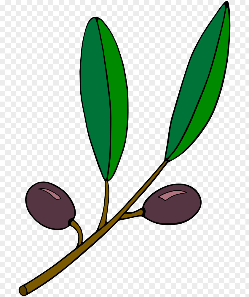 Grapevine Clipart Olive Branch Clip Art PNG