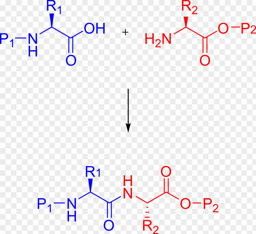 Peptide Synthesis Chemical Merrifield-Synthese Chemistry PNG