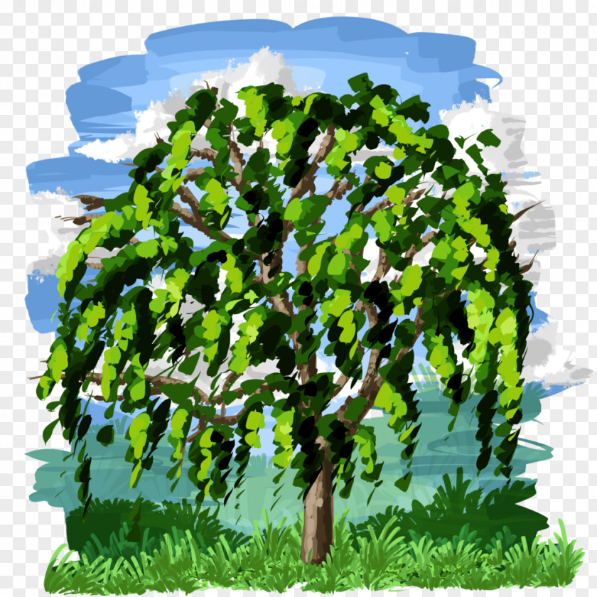 Tree Leaf Vegetable PNG