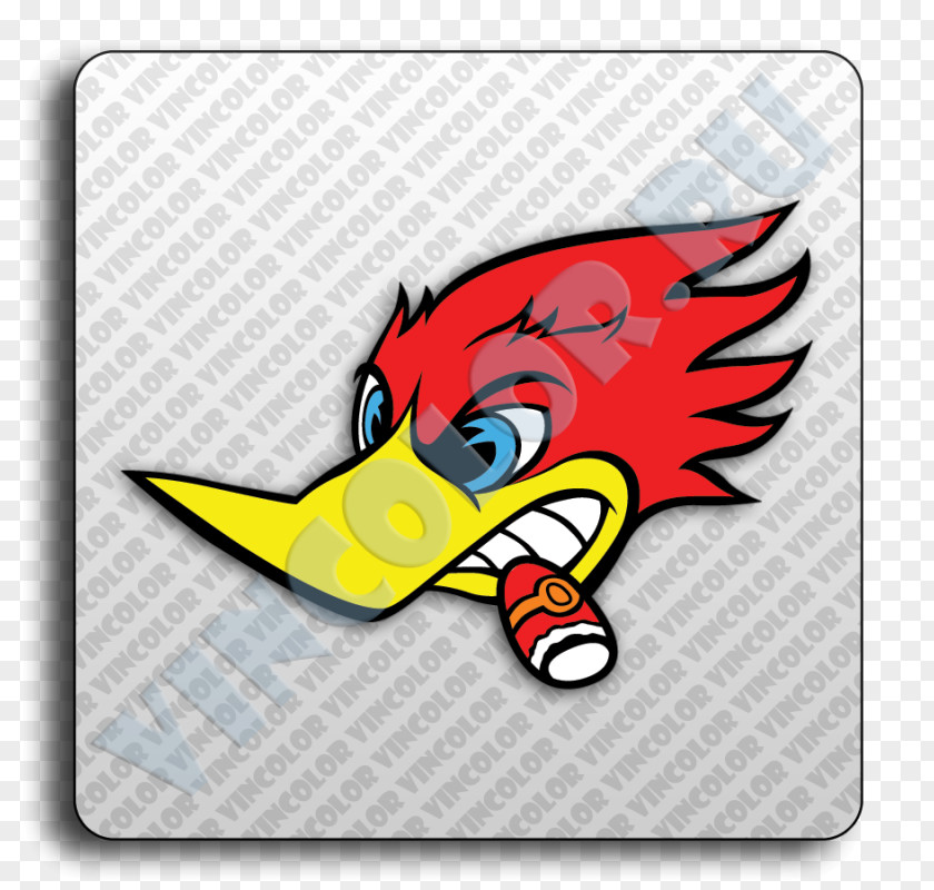 Woody Woodpecker Racing Cartoon PNG