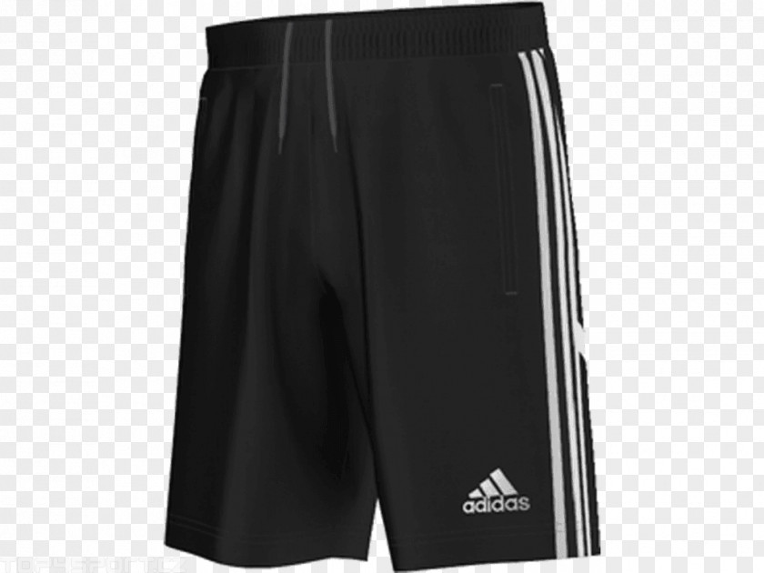 Adidas Gym Shorts Running Sportswear PNG