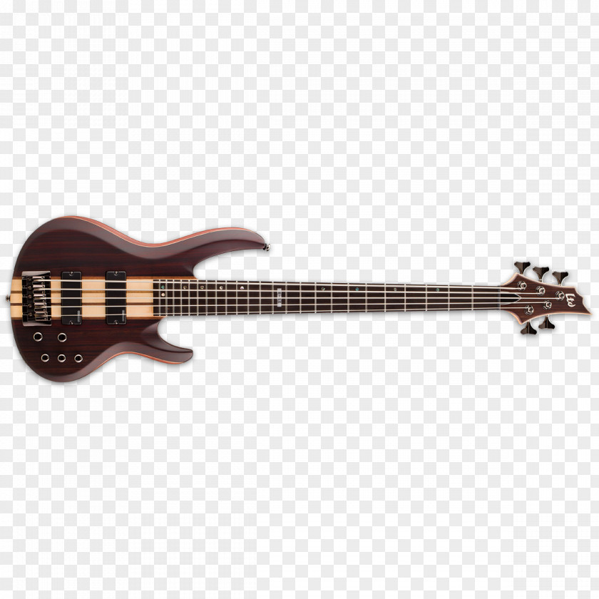 Bass Guitar ESP Guitars Double Electric PNG