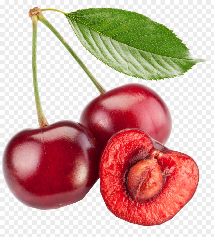 Cherry Pit Spitting Seed Fruit Tree PNG