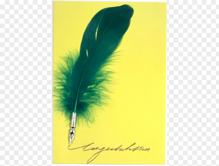 Feather Paper Pen Stationery PNG