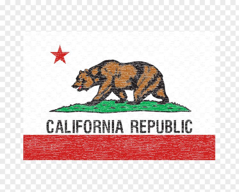 Flag California Republic Of The United States PNG