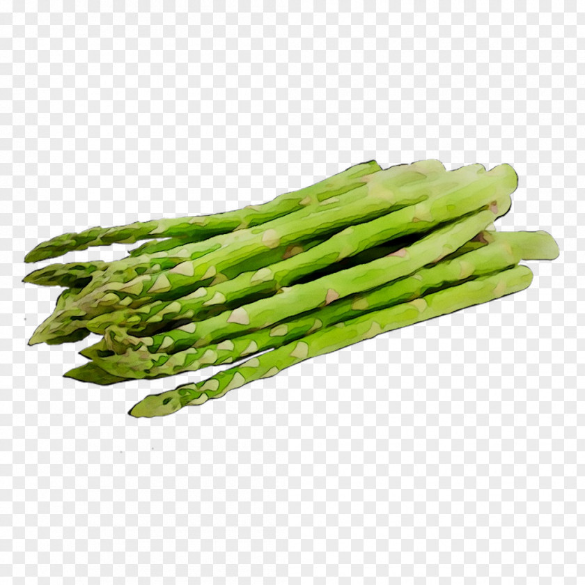 Green Bean Asparagus Nutrient Vegetable Food PNG
