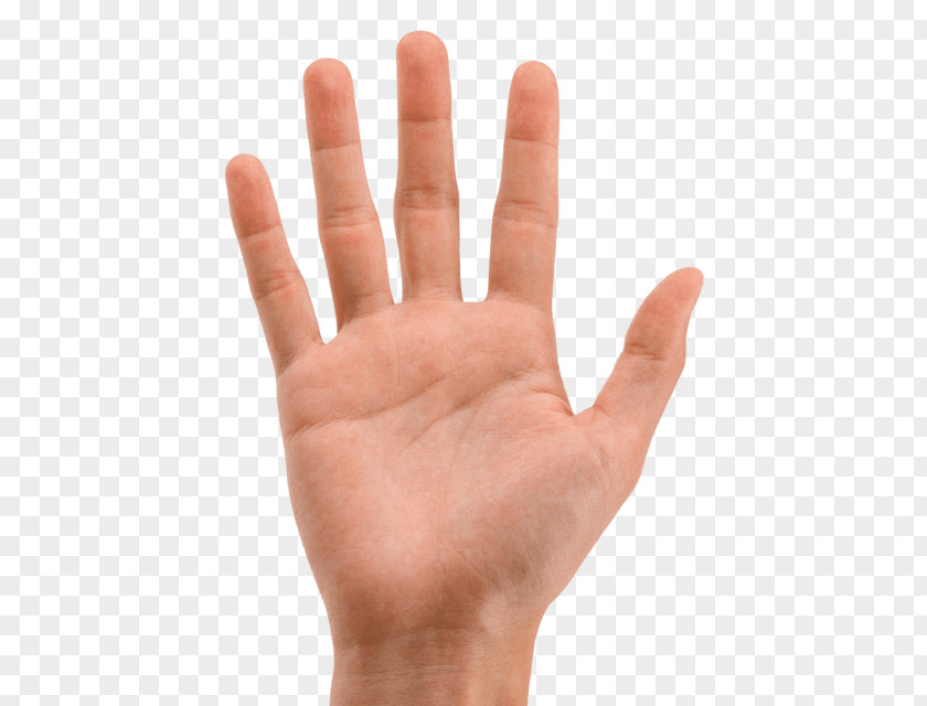 Hand Finger Palm Image PNG