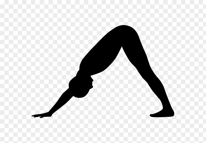 Yoga Ashtanga Vinyasa Physical Fitness Centre Exercise PNG