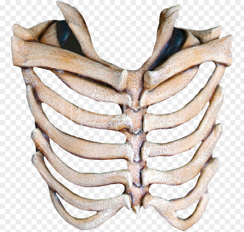 Bones Mask Rib Cage Human Skeleton Skull PNG