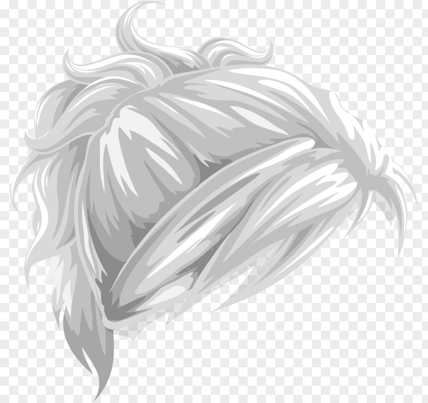 Hair Canities Ponytail Clip Art PNG