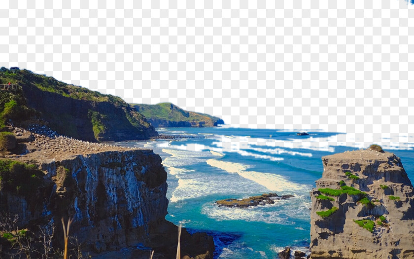 New Zealand Black Sand Beach Three Sky Tower Muriwai Praia De Areia Preta Auckland PNG