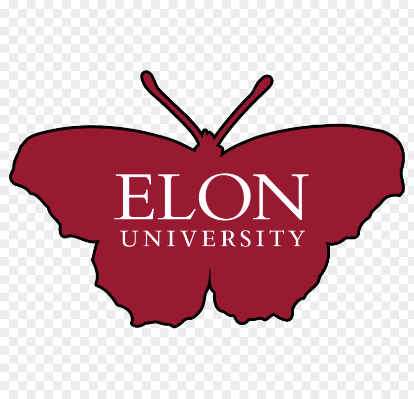 One Hundred Years Of Solitude Elon University North Carolina State Phoenix Football South Florida PNG