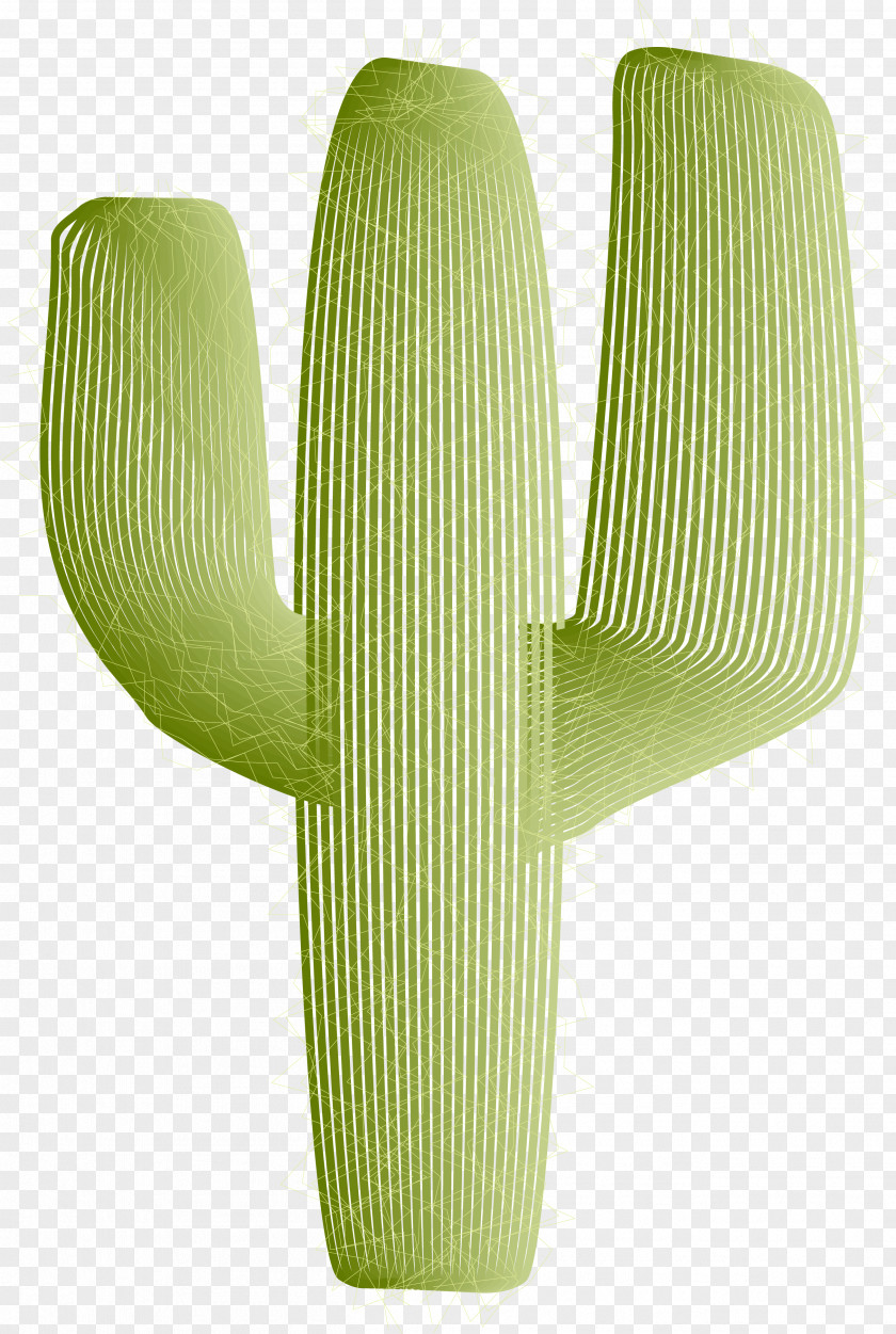 Tropical Cactus Vector Tropics Jungle Rainforest PNG