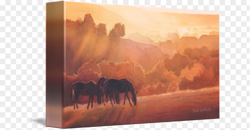Watercolour Horses Watercolor Painting Horse Gallery Wrap Canvas PNG
