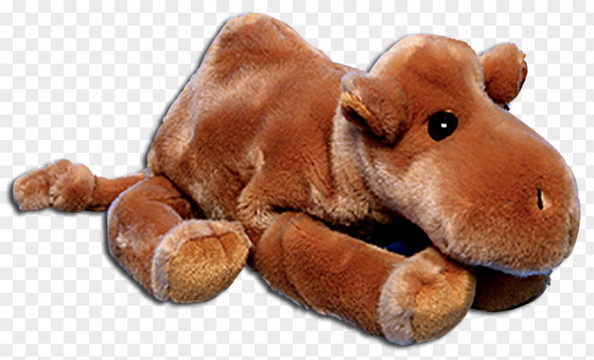 Beanie Stuffed Animals & Cuddly Toys Ty Inc. Babies PNG